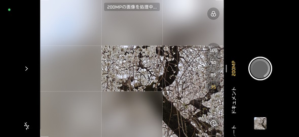 �摜������