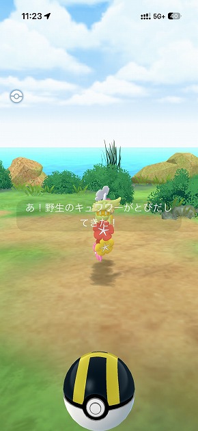 Pokemon GO Fest 2026�F����