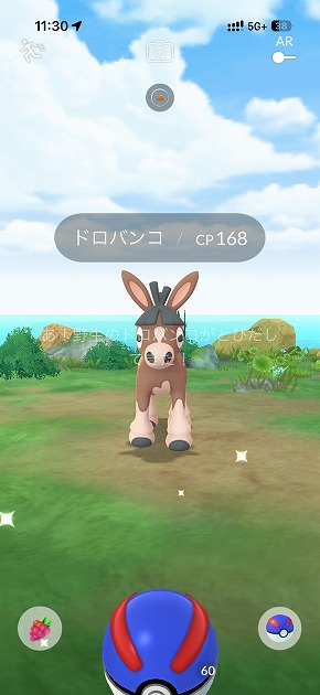 Pokemon GO Fest 2026�F����