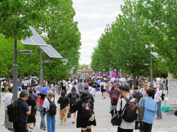 Pokemon GO Fest 2026�F����
