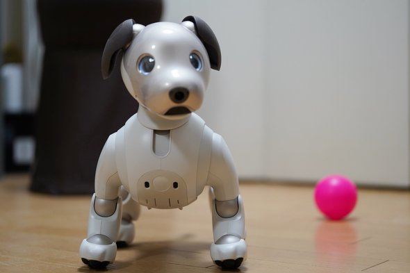 aibo �\�j�[