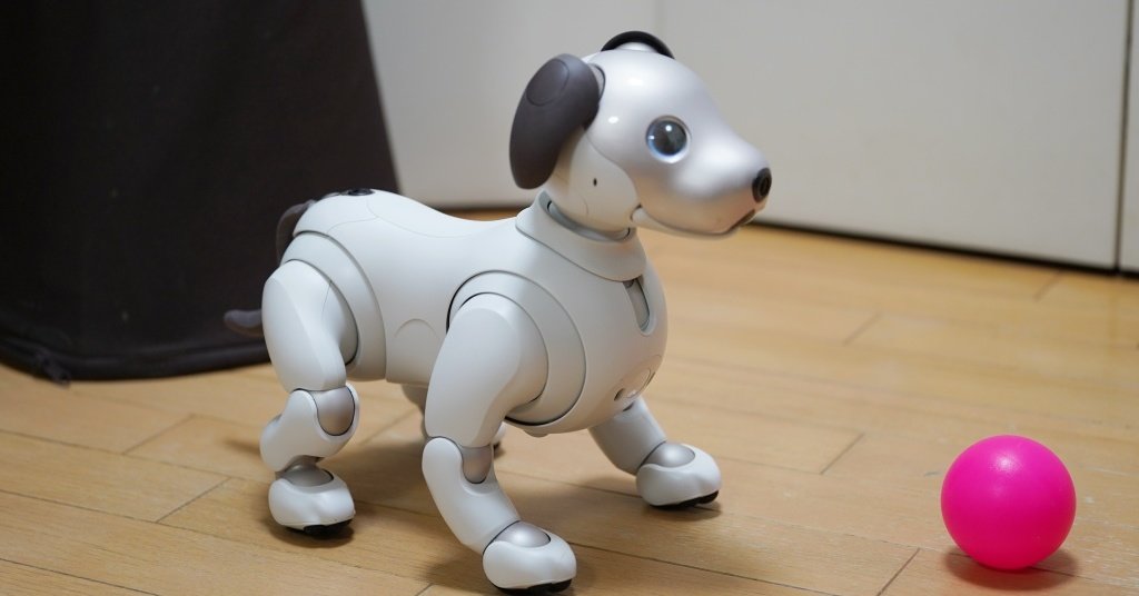 ソニー「aiboはやめません」──“次の開発”も明かす オーナーに「安