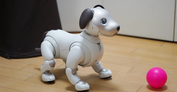 Sony aibo