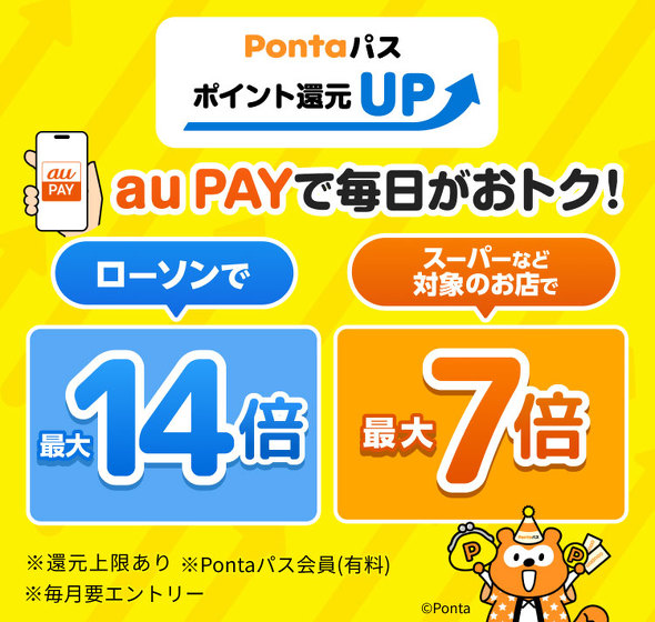 au PAY�L�����y�[��
