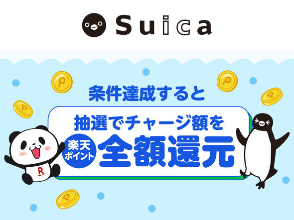 �y�V�y�C