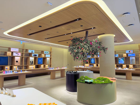 Google Store �\�Q��