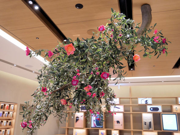 Google Store �\�Q��