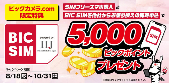BIC SIM