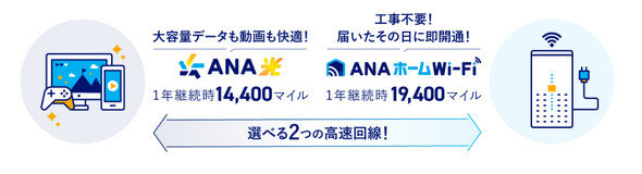 �\�t�g�o���N�^ANA