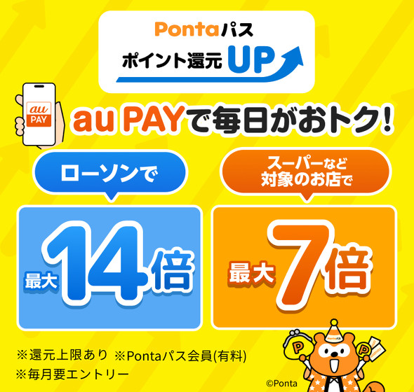 au PAY�L�����y�[��