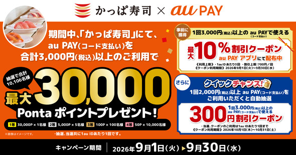 au PAY�L�����y�[��