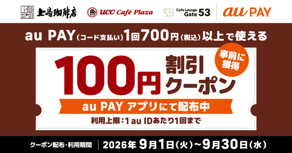 au PAY�L�����y�[��