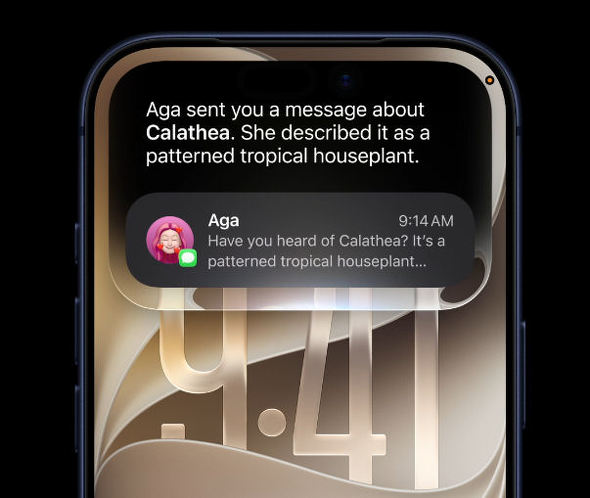 iOS 27