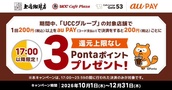 au PAY�L�����y�[��