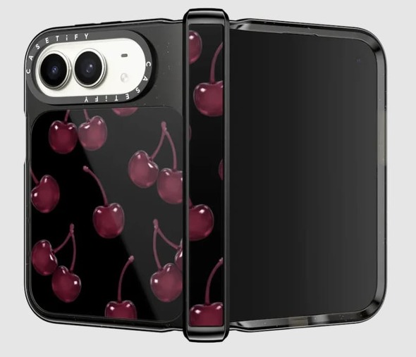 iPhone Duo�P�[�X