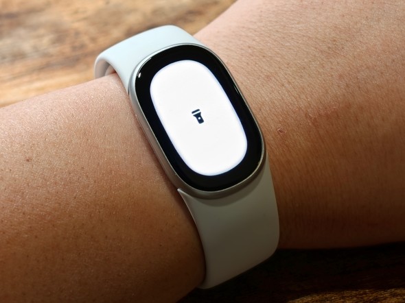 Google Fitbit Edge