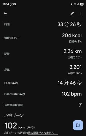 Google Fitbit Edge
