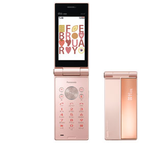 W62P �L�����f�B�b�h�s���N