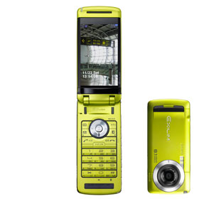 W63CA ���^���O���[��