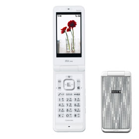 W64T �V���C�j���O�z���C�g