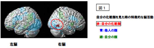 化粧した自分の顔 脳は 他人に近い と認識 カネボウの研究で判明 Itmedia News
