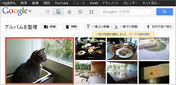 Google Google の写真アルバムのレイアウト変更機能を強化 Itmedia News
