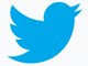 Twitter、ロゴを刷新　文字を排除し小鳥のみに