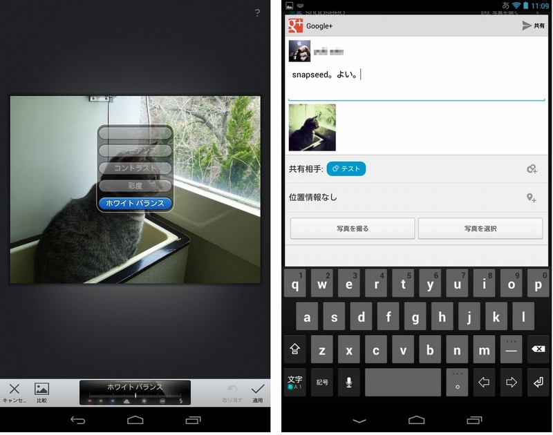  Google、Appleの2011年iPadアプリ・オブ・ザ・イヤー「Snapseed」の開発者を買収