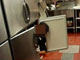 “店員が冷蔵庫に入った写真”で閉店に　ステーキ店のブロンコビリー「営業再開許されない」