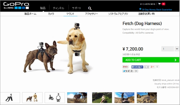 Gopro 犬用マウントを70円で発売 7キロ以上の犬に装着可能 Itmedia News