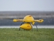 DHL、ドローン輸送の実地テストを北海ユイスト島で開始へ