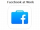 ビジネス向け「Facebook at Work」テスト運用スタート　「友達とつながるように仕事仲間と連絡できる」
