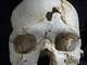 43万年前の“殺人事件”見つかる　頭蓋骨に攻撃の跡