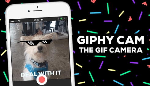 Gifアニメの簡単作成 投稿アプリ Giphy Cam Iphoneアプリのみ Itmedia News