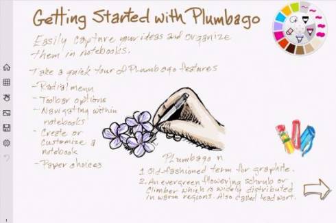  plumbago 2