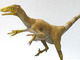 福井県で新種の恐竜　学名は「フクイべナートル・パラドクサス」