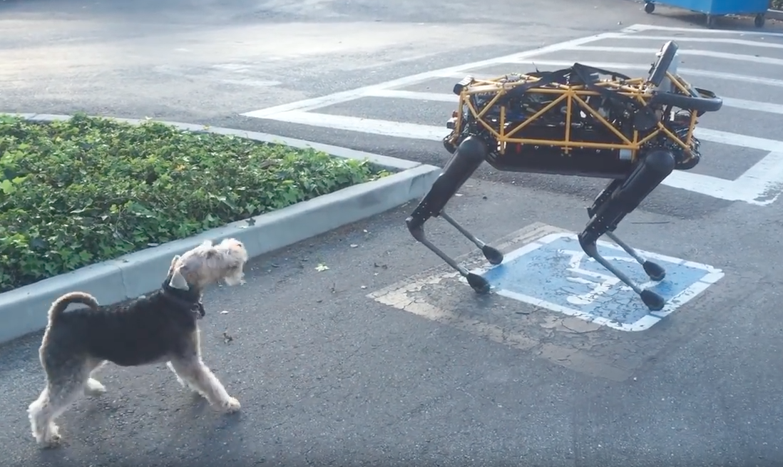 ロボット犬とリアル犬がストリートファイト Itmedia News