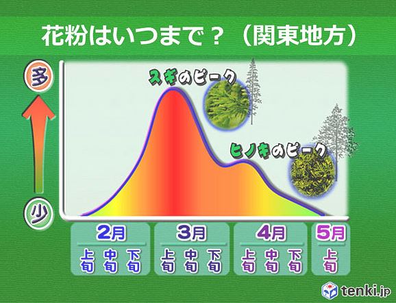 ヒノキ花粉 これからピークに 有効策はワセリン塗布 Itmedia News ヒノキ花粉 これからピークに 有効策はワセリン塗布 Itmedia News