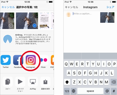 Ios版instagram Appleの 写真 や Googleフォト の共有が可能に Itmedia News