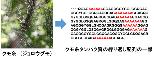 □島理研 鉄研磨機 トギラーク5□ジャンク 値段設定 - dcsh.xoc.uam.mx