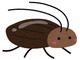 ゴキブリ、メス3匹寄れば生殖促進　オスいらず　北大が研究