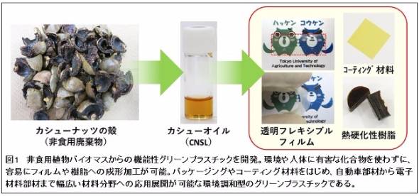 仮想 通貨 fork8 カジノカシューナッツの殻からプラスチック生成　日本の研究チームが開発成功仮想通貨カジノパチンコ新 世紀 エヴァンゲリオン パチンコ