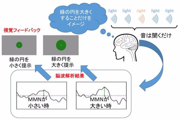 脳波で L R を聞き分ける技術 Nictら開発 Itmedia News