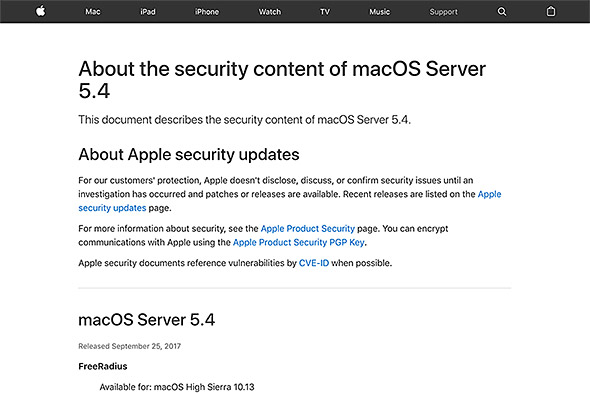 important apple security update