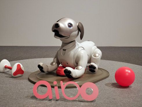 aiboはオーナーと物語を紡げる」──平井社長、復活した“犬型ロボット
