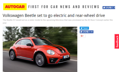  beetle 1