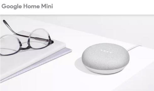  Google Home Mini