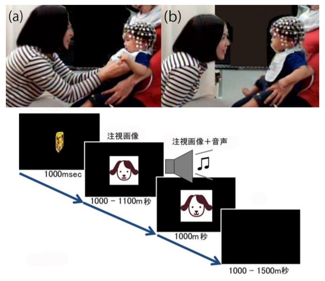 触れて話しかけられた 乳児は脳活動が促進される 京大の研究 Itmedia News