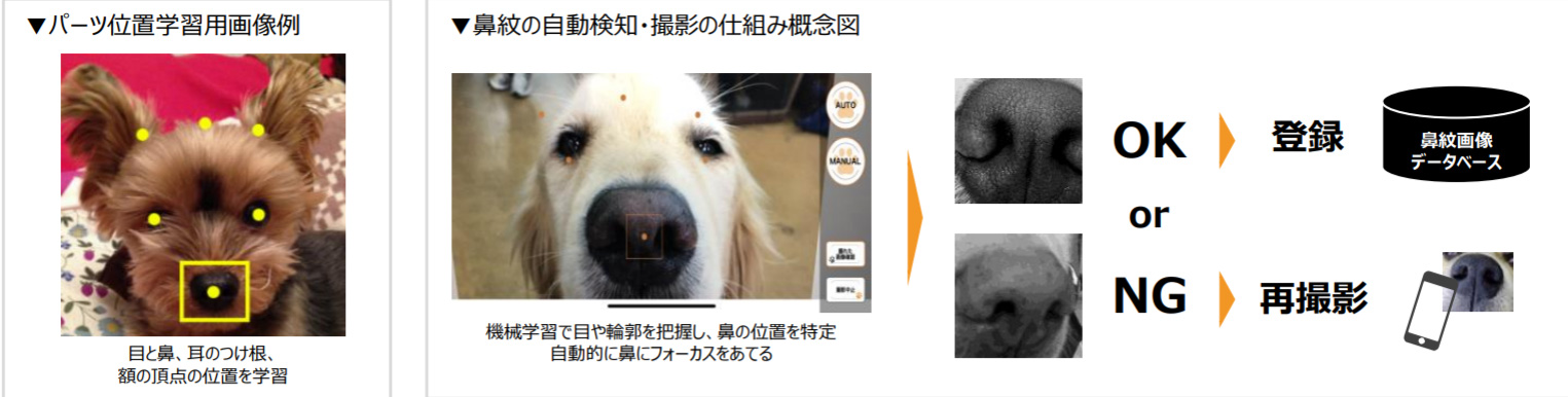 Aiがスマホ写真で 犬の鼻 判別 迷子犬の捜索に リクルートが実証実験 Itmedia News