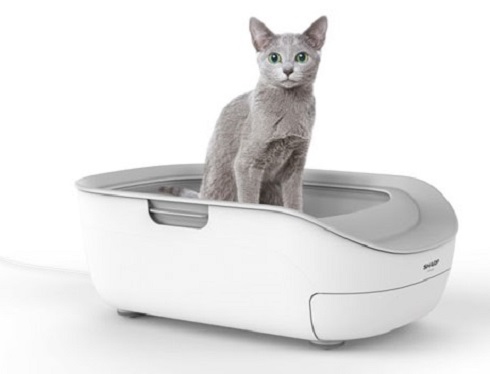 シャープが目を付けたのは 猫用iotトイレ ペット事業になぜ参入 犬のバイタル計測サービスも Itmedia News